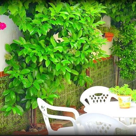 El Rincon De La Rosa Βίλα La Zubia  Εξωτερικό φωτογραφία