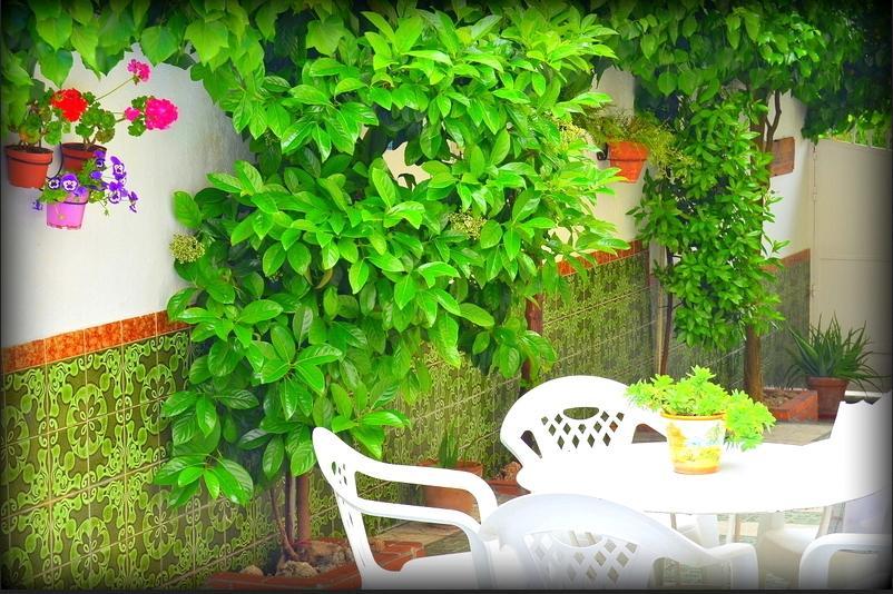 El Rincon De La Rosa Βίλα La Zubia  Εξωτερικό φωτογραφία